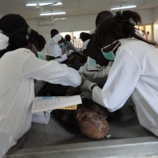 Faculty of Basic Medical and Health Sciences